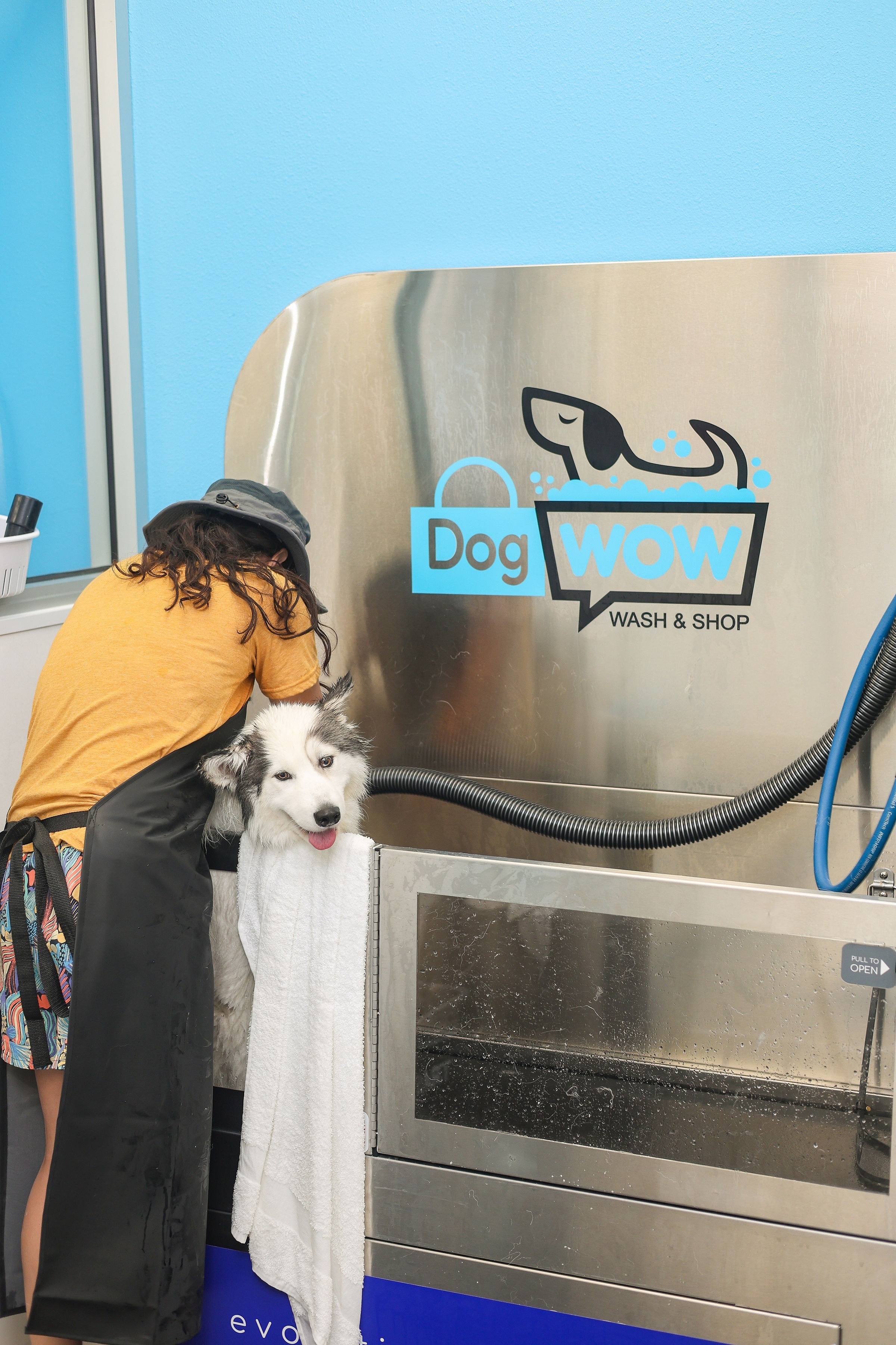 Husky wrapped in a towel at the DOGWOW self-serve dog wash station